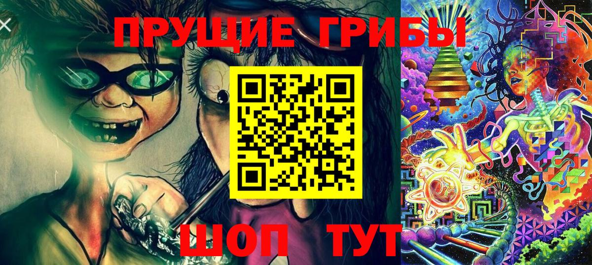 Псилоцибиновые грибы Psilocybe Верхняя Пышма